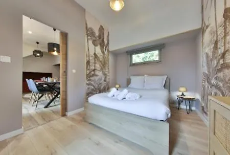 Apartamento La Peniche De Fabrice Avec Jacuzzi Privatif Estrasburgo Habitación foto