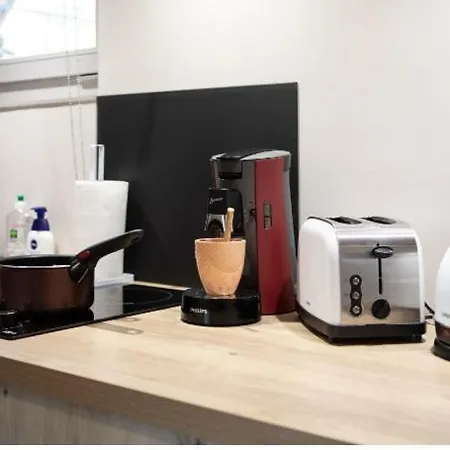 Apartamento La Peniche De Fabrice Avec Jacuzzi Privatif Estrasburgo Habitación foto