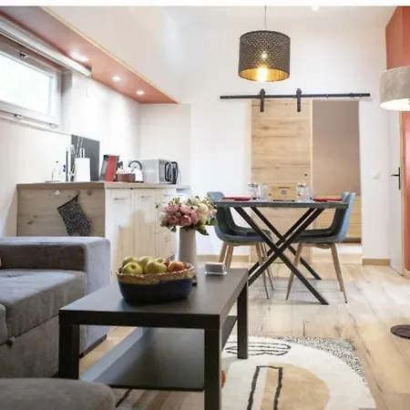 Apartamento La Peniche De Fabrice Avec Jacuzzi Privatif Estrasburgo Habitación foto