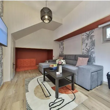 Apartamento La Peniche De Fabrice Avec Jacuzzi Privatif Estrasburgo Habitación foto
