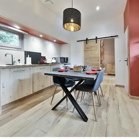 Apartamento La Peniche De Fabrice Avec Jacuzzi Privatif Estrasburgo Habitación foto